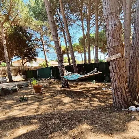 Villa Des Pins - Jolie Proche De La